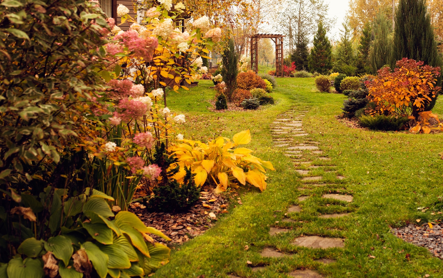 Autumn Lawn Treatment MO Bacter